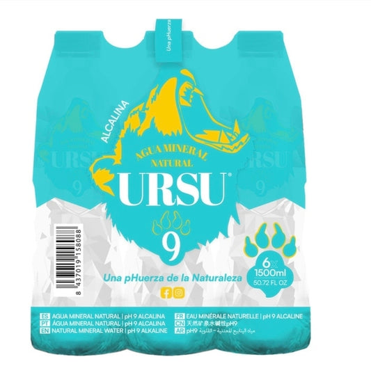 Ursu Wasser 500ml
